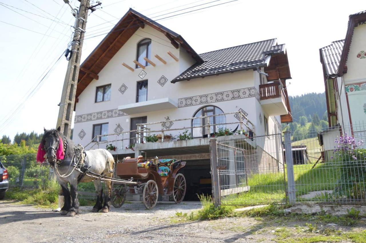 Villa Casa Aureliana Ciocanesti Exterior foto