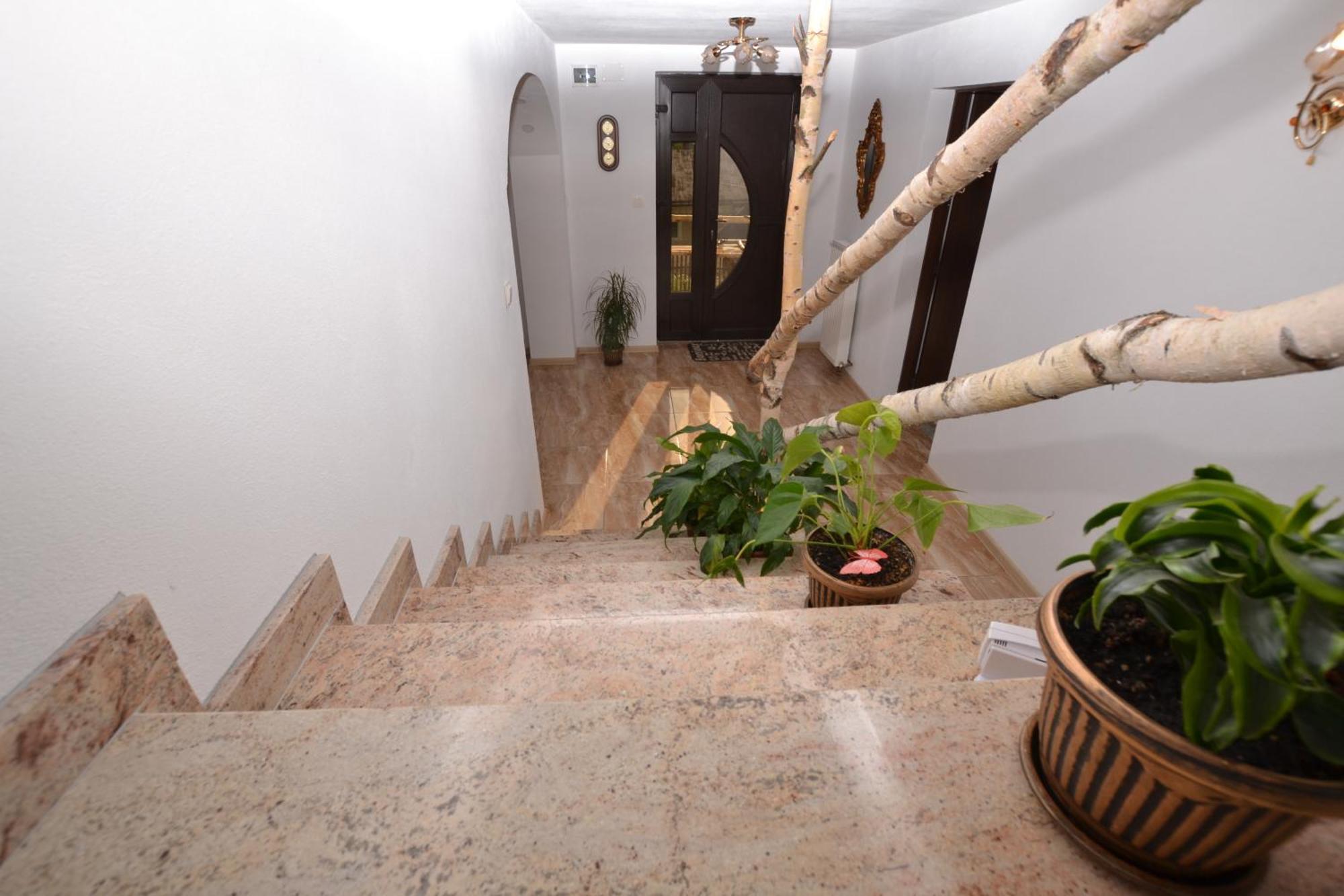 Villa Casa Aureliana Ciocanesti Exterior foto